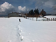 Salita al MONTE COLOMBINA (1459 m.) da Bossico il 3 aprile 2013 - FOTOGALLERY